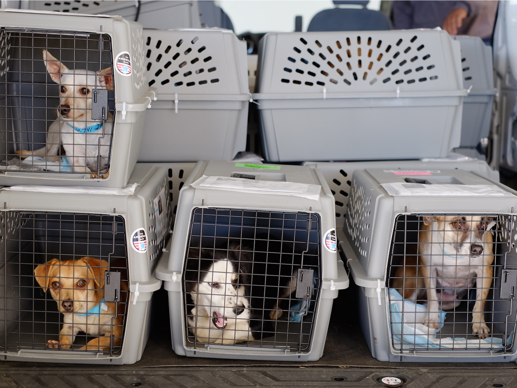 5aa80e713be59f20008b459c